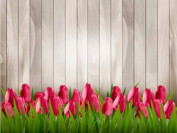 Fondo de primavera de la naturaleza con tulipanes rojos en el signo de madera. Vector . — Archivo Imágenes Vectoriales