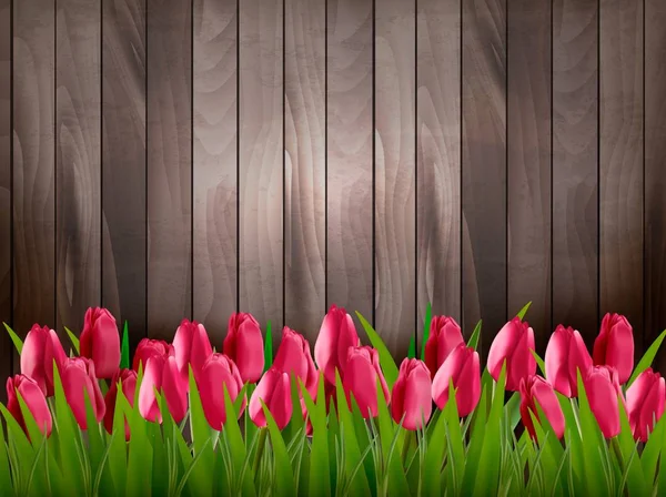 Příroda na jaře pozadí s červenými tulipány na Dřevěná Cedulka. Vektor. — Stockový vektor