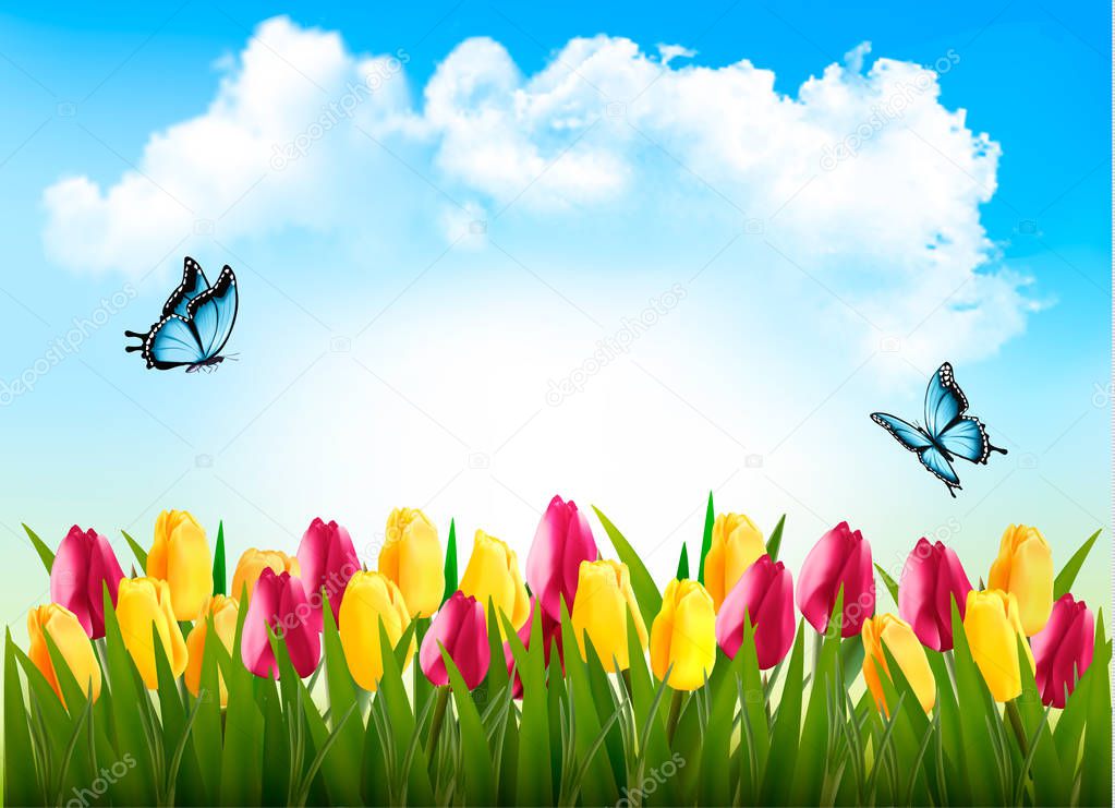 Nature background with green grass, flowers and a butterfly. Vec