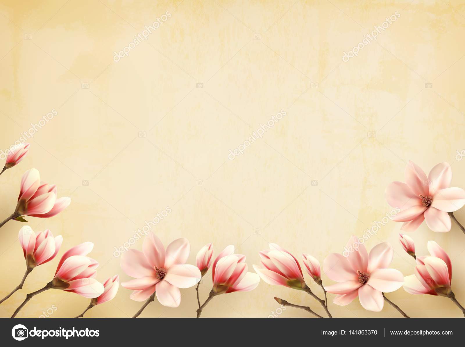 molduras de flores pictures to pin on pinterest tattooskid molduras de flores pictures to pin on pinterest tattooskid