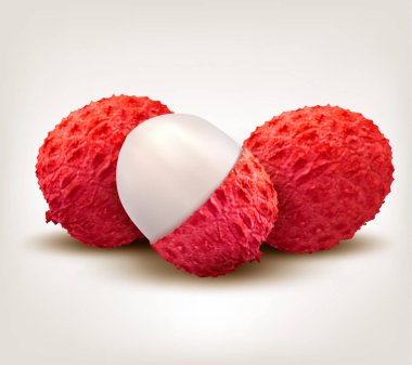 Taze Lychee meyve. Vektör