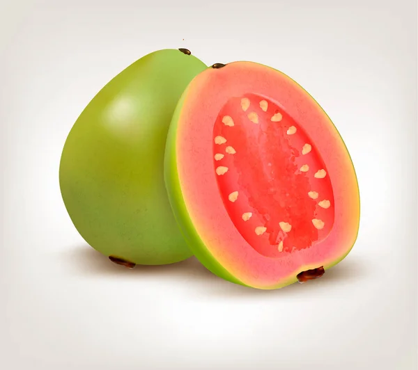 Fresh green Guava fruit. Vector. — Stock Vector