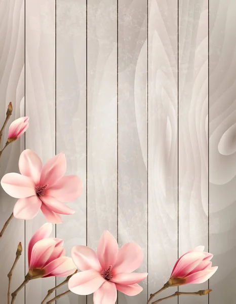 Naturaleza primavera fondo con hermosas ramas magnolia en woo — Vector de stock