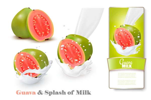 Guayaba fresca en salpicaduras de leche. Vector . — Vector de stock