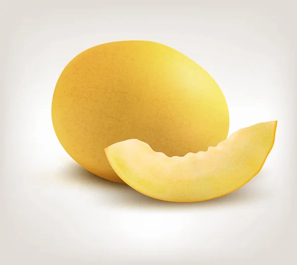 Melon de miellat jaune sur fond blanc. Vecteur — Image vectorielle