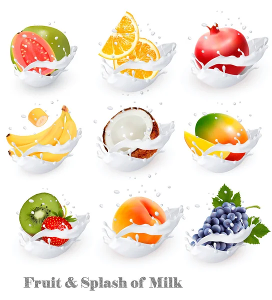 Grande collection d'icônes de fruits dans une éclaboussure de lait. Goyave, banane, o — Image vectorielle