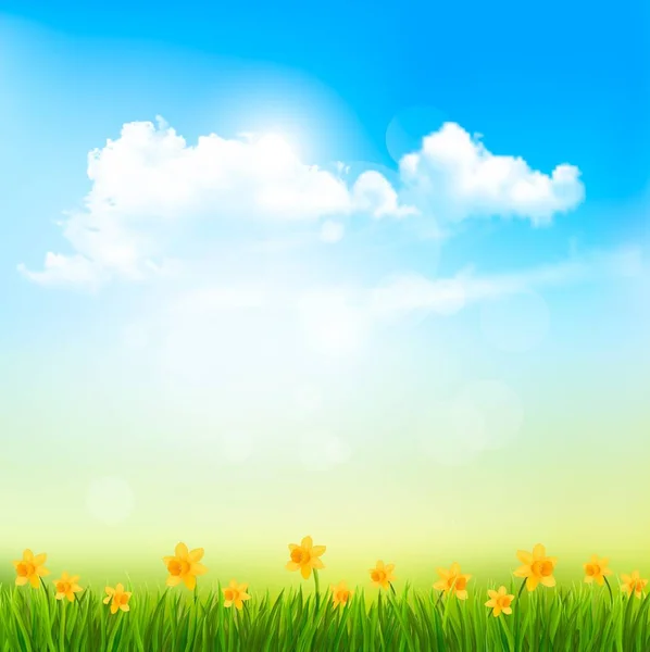 Spring Nature Background With A Green Grass And Blue Sky With Cl — Stock Vector