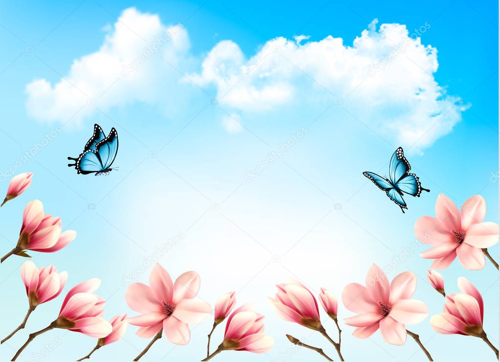 Nature spring background with beautiful magnolia branches on blu