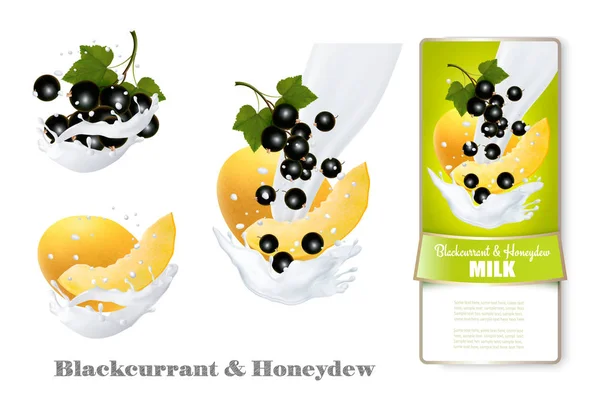 Blackcurrant and honeydew melon in milk splashes. Vector. — Stock Vector