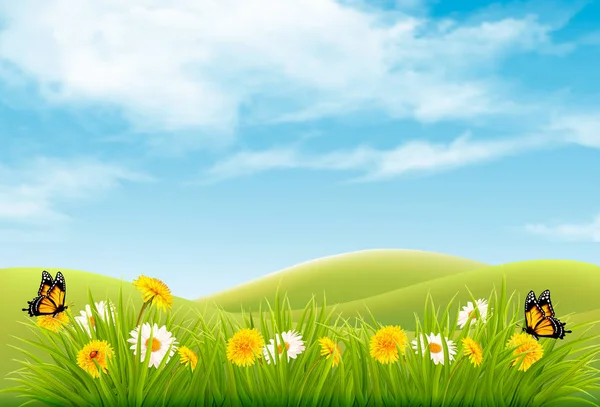 Bella natura paesaggio sfondo con fiori e butterfli — Vettoriale Stock