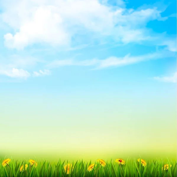 Spring Nature Background With A Green Grass And Blue Sky With Cl — Stock Vector