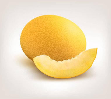 Yellow Honeydew Melon on White Background. Vector clipart