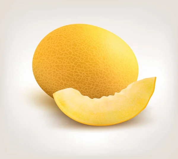 Yellow Honeydew Melon on White Background. Vector — Stock Vector