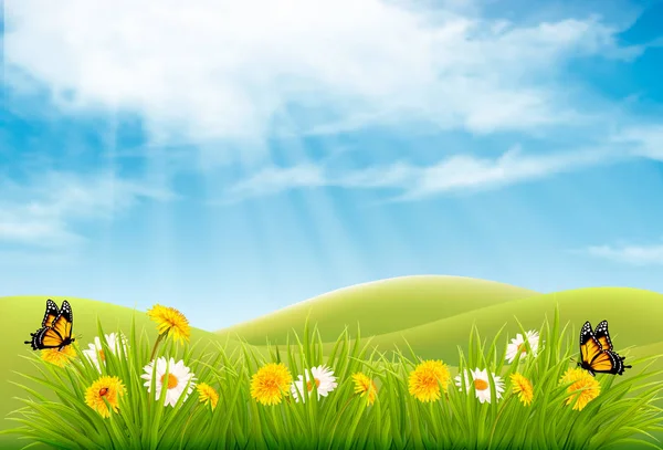 Spring nature landscape background with flowers and butterflies. — Stock Vector