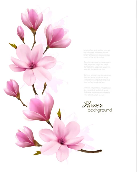 Nature background with blossom branch of pink magnolia. Vector — Stock Vector