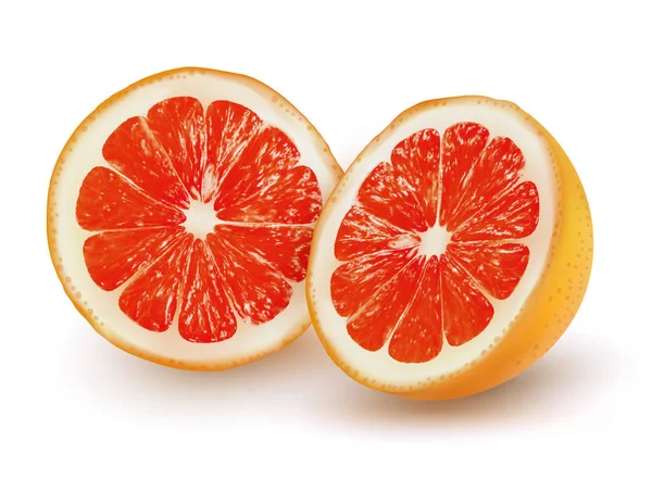 Az érett grapefruit egy átlátszó háttérrel. Vektor. — Stock Vector