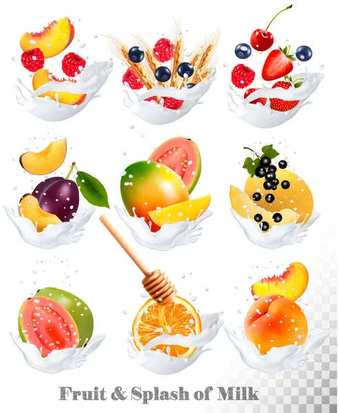 Stor samling ikoner av frukt i en mjölk-splash. Guava, plommon, mannen — Stock vektor