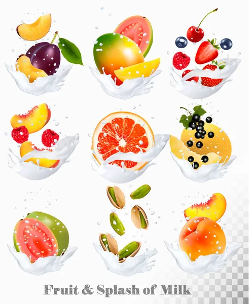 Grande collection d'icônes de fruits dans une éclaboussure de lait. Goyave, prune, homme — Image vectorielle