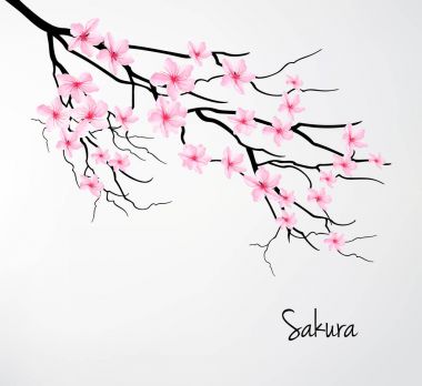Sakura şube ile güzel romantik kartı. Vektör