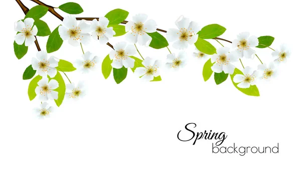 Spring background with white flowers. Vector. — Stock Vector