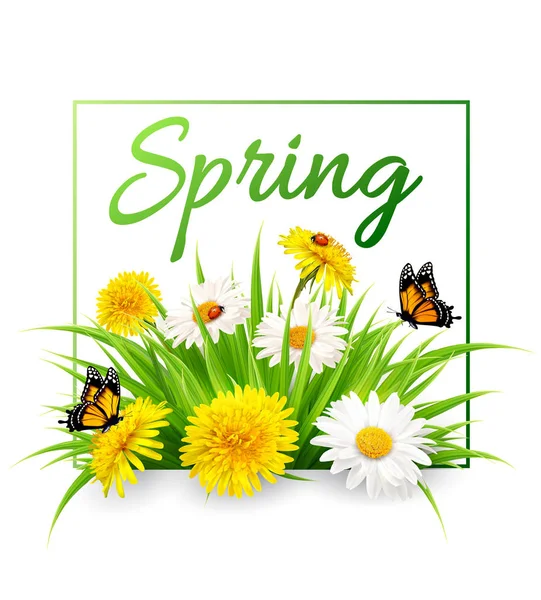 Fondo primavera naturaleza con hierba, flores y mariposas. Ve. — Vector de stock