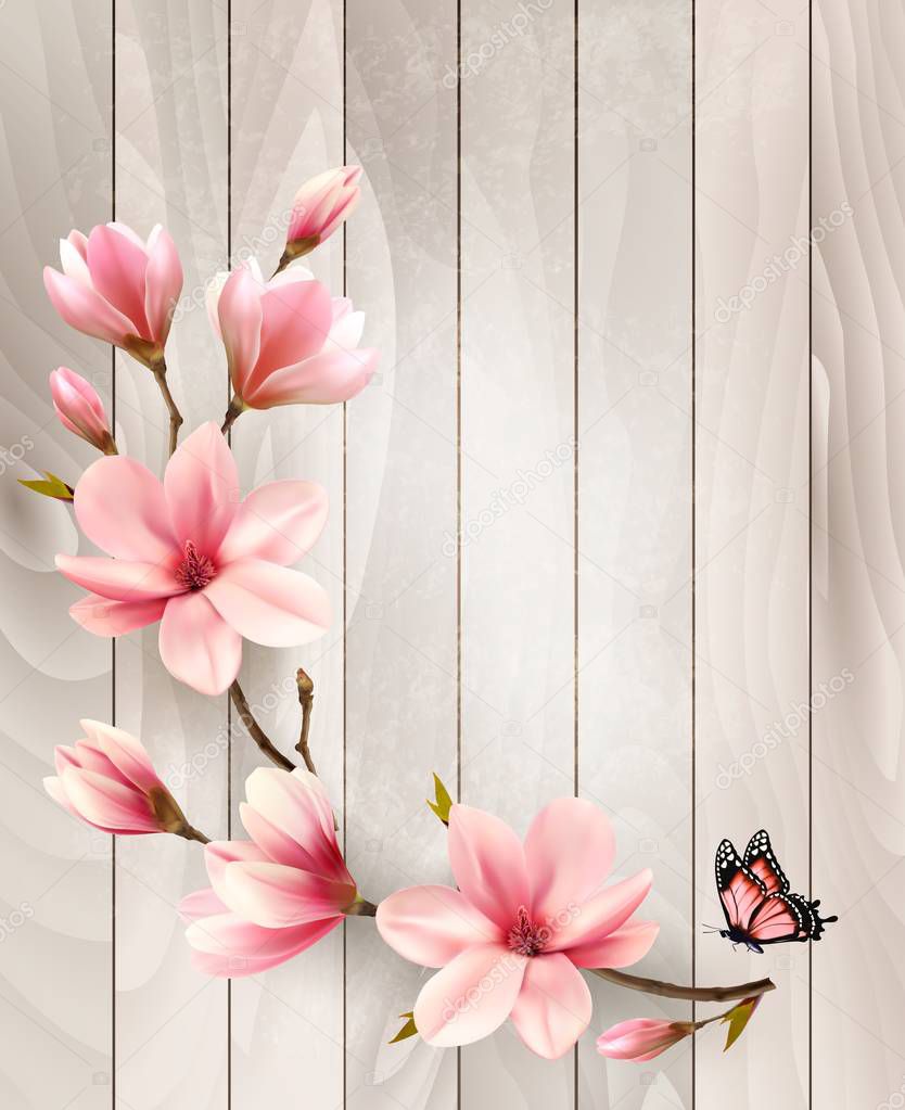 Nature spring background with beautiful magnolia branches on woo