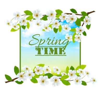 Kiraz çiçekleri ile Doğa bahar arka plan. Vektör.