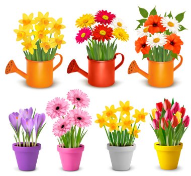 Spring and summer colorful flowers in pots  Vector clipart