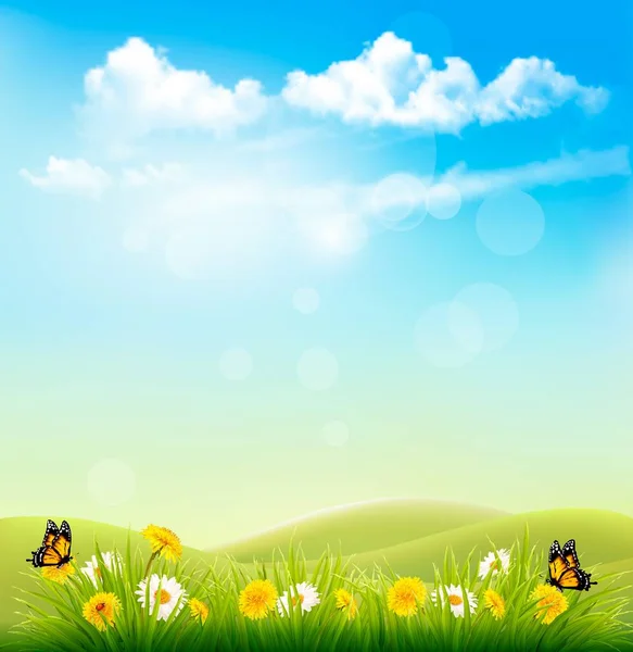 Spring Nature Background With A Green Grass And Blue Sky With Cl — Stock Vector