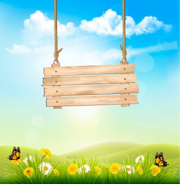 Bahar doğa ve arka plan yeşil çim ahşap işareti. Vecto