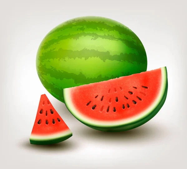 Watermelon isolated on white background — Stock Vector