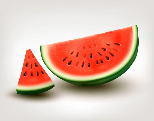 Watermelon segar. Vektor - Stok Vektor