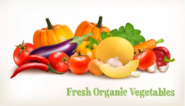 Grote reeks van kleurrijke vector groenten. Vectorillustratie. — Stockvector