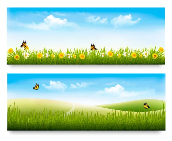 Twee lente weide banners met gras en bloemen. Vector. — Stockvector