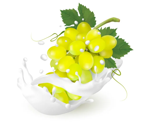 Зелений виноград в молоко сплеск на прозорим фоном. Vecto — стоковий вектор