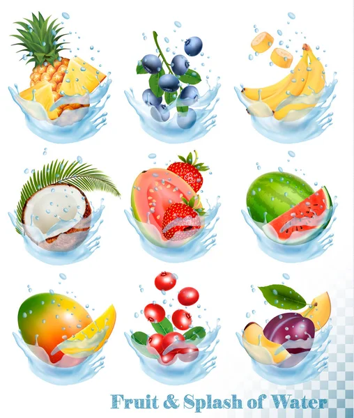 Big collection of fruit in a water splash. Pineapple, mango, ban — Stock Vector