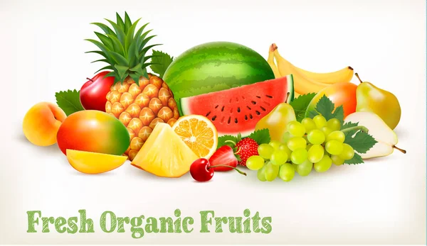 Gran colección de diferentes frutas frescas. Vector . — Vector de stock