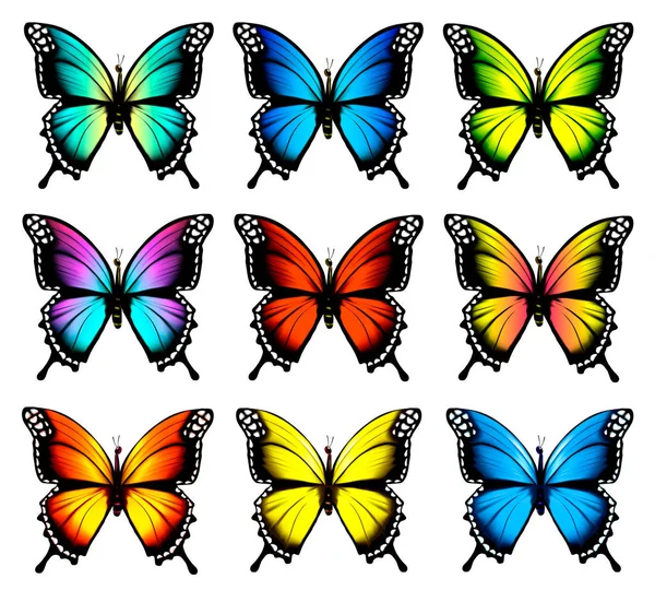 Bunte Schmetterlinge setzen sich in Bewegung. Vektor. — Stockvektor