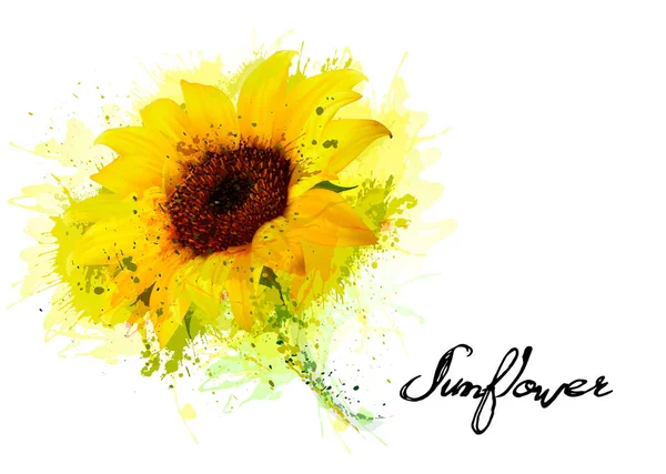Latar belakang alam dengan bunga matahari kuning. Vektor - Stok Vektor
