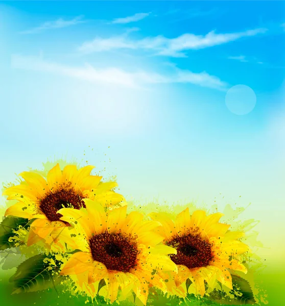 Fondo natural con girasoles amarillos y cielo borroso. Vector — Vector de stock