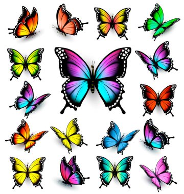 Colorful butterflies set. Vector. clipart