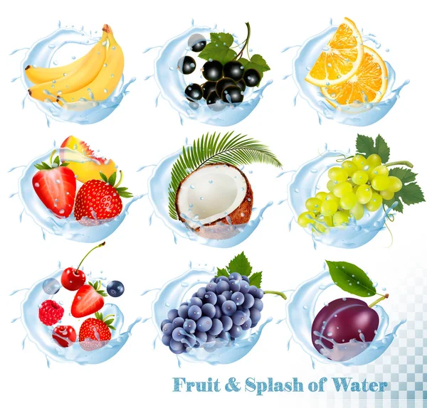 Big collection of fruit in a water splash icons. Banana, coconut — Stock Vector