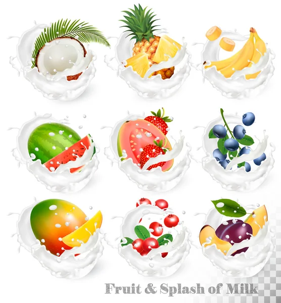 Big collection of fruit in a milk splash. Strawberry, blackberry — Stock Vector