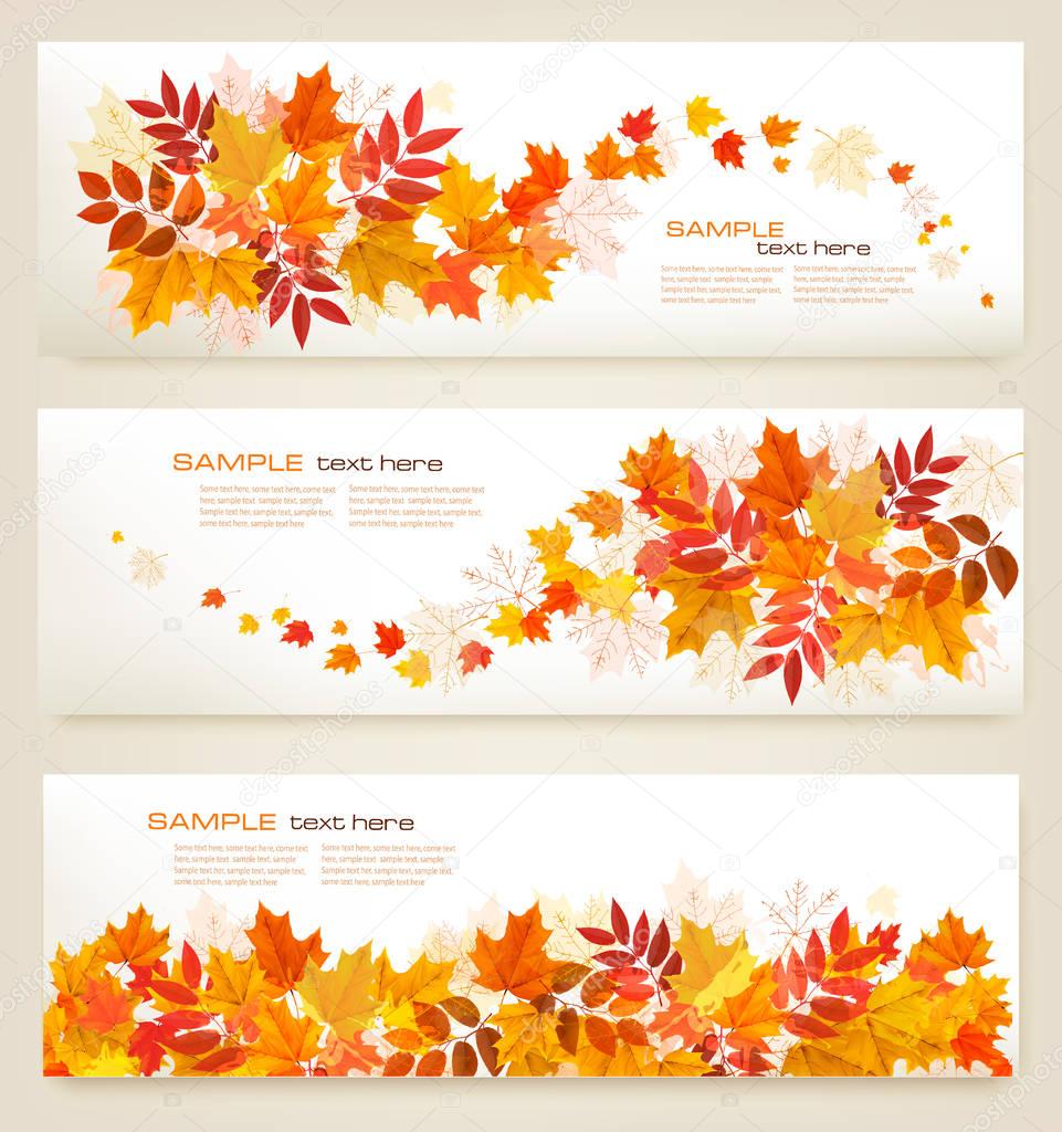 Set of abstract autumn banners with colorful leaves Vector