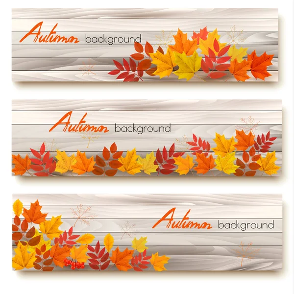 Conjunto de tres banderas vectoriales con hojas coloridas de otoño. — Vector de stock