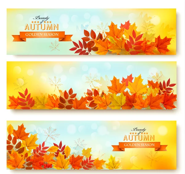 Conjunto de tres banderas de la naturaleza con hojas de otoño de colores. vector — Vector de stock