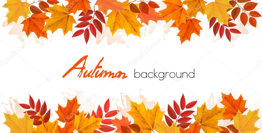 Fall Autumn Colorful Leaves Background. Vector.