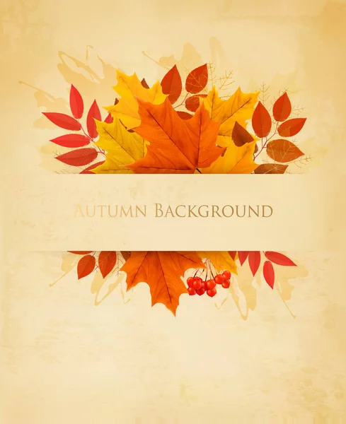 复古自然秋天背景与多彩树叶矢量 — 图库矢量图片