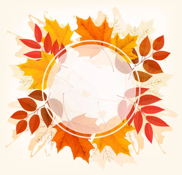 秋天秋天的五颜六色的树叶背景。矢量. — 图库矢量图片