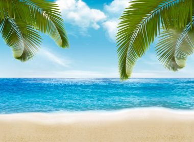 Palm beach üzerinde bırakır. vektör çizim. 